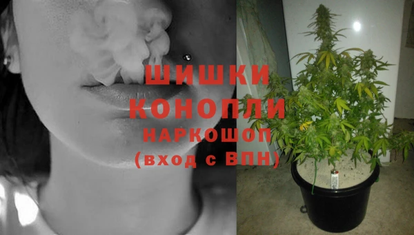 винт Весьегонск