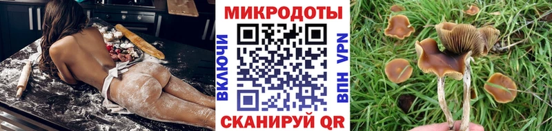 Галлюциногенные грибы ЛСД  ссылка на мегу рабочий сайт  Володарск 